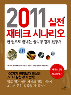 2011 실전 재테크 시나리오