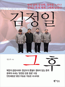 김정일 그 후