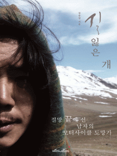 길 잃은 개